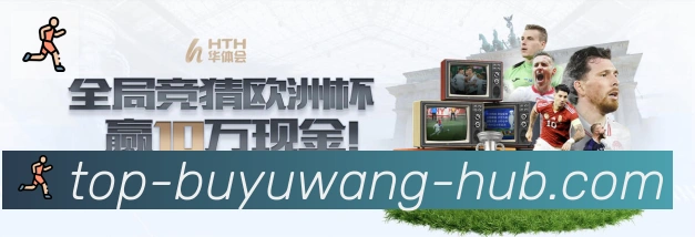 未来规划